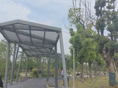 -澹台湖公园