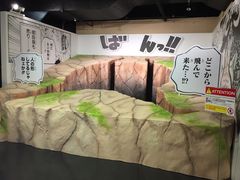 -东京塔海贼王主题公园