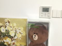 -line friends(明洞旗舰店)