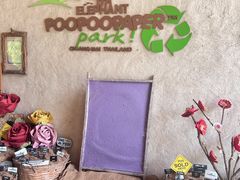 -大象粑粑造纸公园