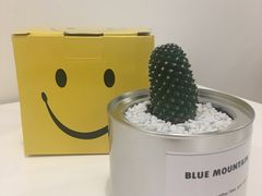 -一粒糖 · 潮汕小吃-海石花特色甜品