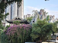 -荔湾湖公园