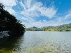 -番禺大夫山森林公园