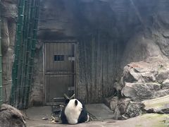 -ITA·意塔意大利餐厅(亦庄店)