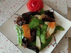 -爱月宝月嫂·育儿嫂(哈尔滨总店)