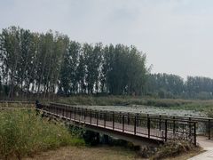 -白洋淀景区