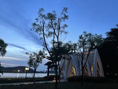 -顺峰山公园