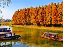 -溱湖国家湿地公园