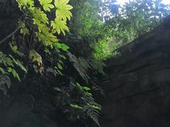 -南国桃园旅游度假区