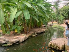 -南通洲际绿博园