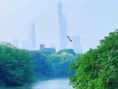 -海珠湖公园