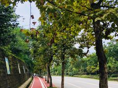 -三圣花乡旅游区