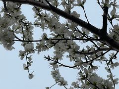 -南开大学(津南校区)