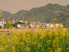 -新安江山水画廊风景区
