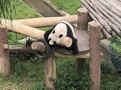 -沈阳森林动物园
