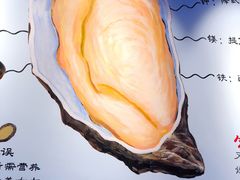 -千岛蚝高压锅生蚝·人参火锅(白云万达店)