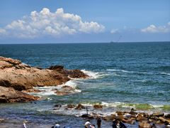 -广东惠东海龟国家级自然保护区