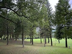 -福建鲤鱼洲酒店