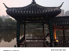 -龙头寺公园