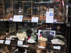 -志强陨石馆(双季花艺店)