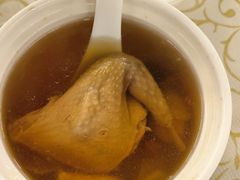 -百利鸽王(紫薇路店)
