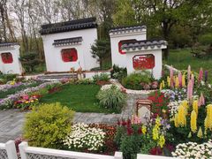 -上海共青森林公园