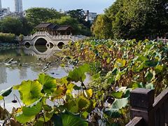 -金山公园