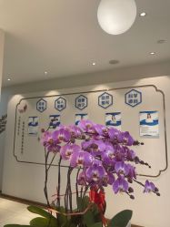 -丽美妍医疗美容·皮秒·立体分层抗衰