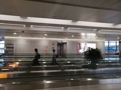 -上海浦东国际机场-T2航站楼