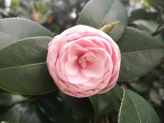 -华南国家植物园-售票处