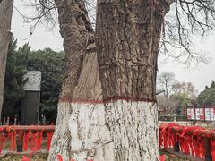 -洛阳周公庙博物馆