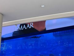 -迪拜水族馆及水下动物园