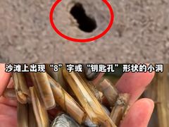 -巧克力渔家.小船海鲜家常菜(万平口店)