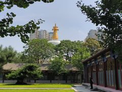 -护国法轮寺