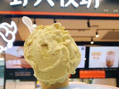 -野人先生现做冰淇淋(西安赛格店)