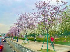 -花都广场