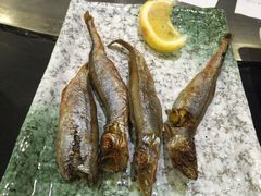 -真剑日本料理·铁板烧(贵州路店)