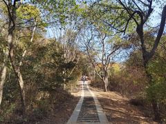 -青龙山国家森林公园