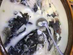 -全乐鱼馆·淳牌有机鱼直营店