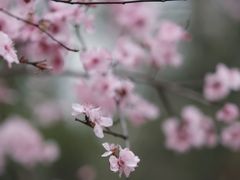 -堤角公园