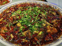 来凤鱼-新概念来凤鱼(璧山店)
