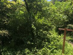 -青龙山国家森林公园