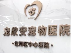 -宠欣安宠物医院·包河区中心医院