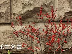 -苏州公园(双塔街道)