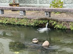 -清漾毛氏文化村