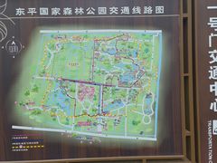 -东平国家森林公园