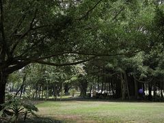 -南宁南湖公园