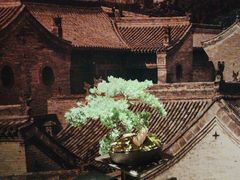 -杏花堂晋商私房菜(华熙五棵松店)