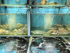-海味当家·蒸锅海鲜(星海公园店)