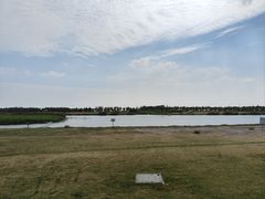 -春花秋色城市公园